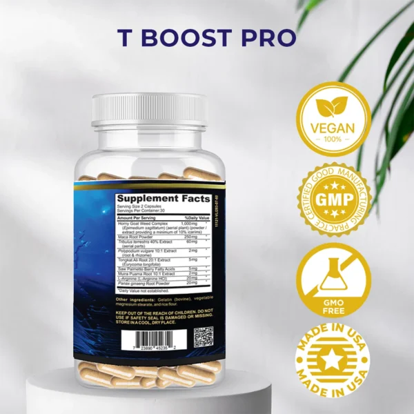 T-Boost - Image 8